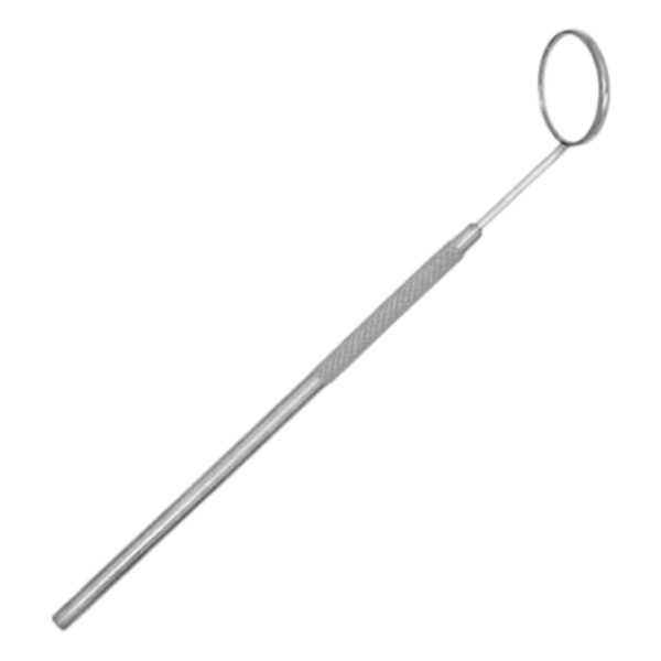 dental prophy kit