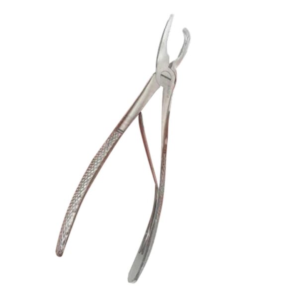 veterinary tartar removing forceps