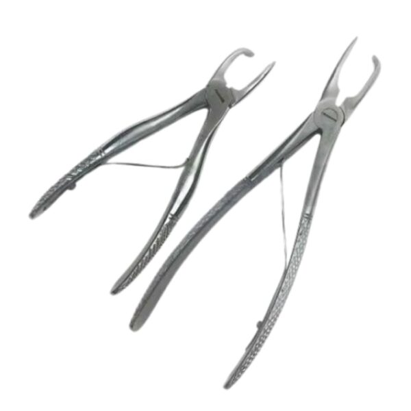 veterinary tartar removing forceps