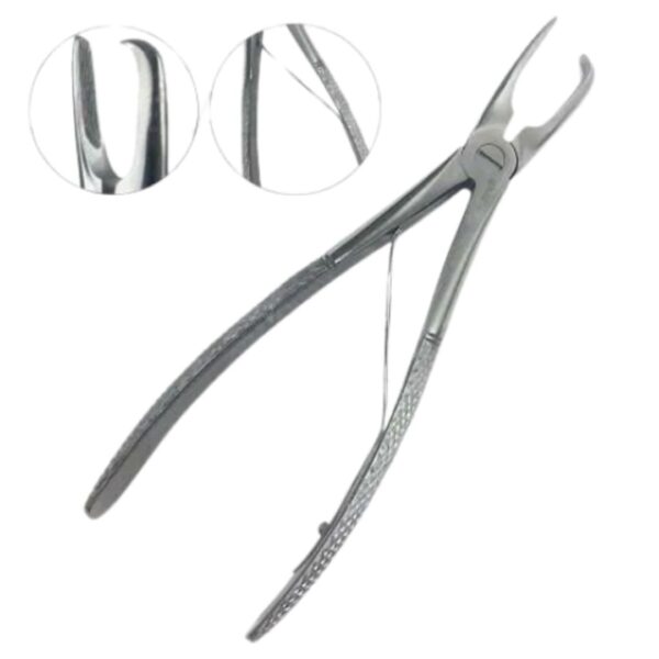 veterinary tartar removing forceps