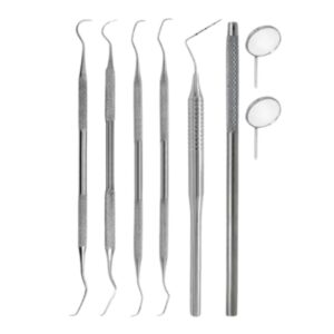 dental prophy kit