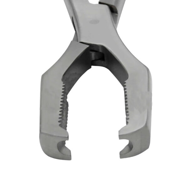 lane bone holding forceps