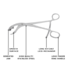 verbrugge bone holding forceps
