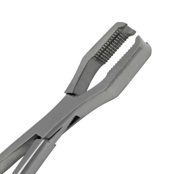 lane bone holding forceps