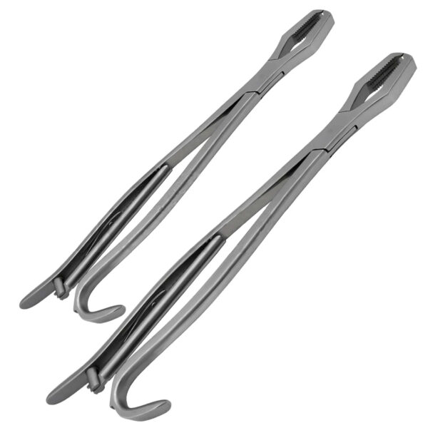 lane bone holding forceps