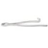 lane bone holding forceps