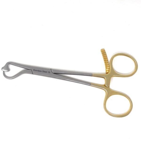 plate and bone holding forceps