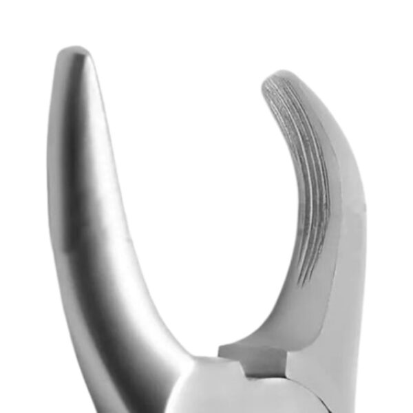 Veterinary Tartar Removing Forceps