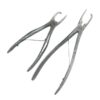 Veterinary Tartar Removing Forceps
