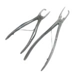 Veterinary Tartar Removing Forceps