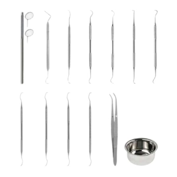 Advanced Dental Prophy Kit