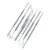 Basic Dental Prophy Kit