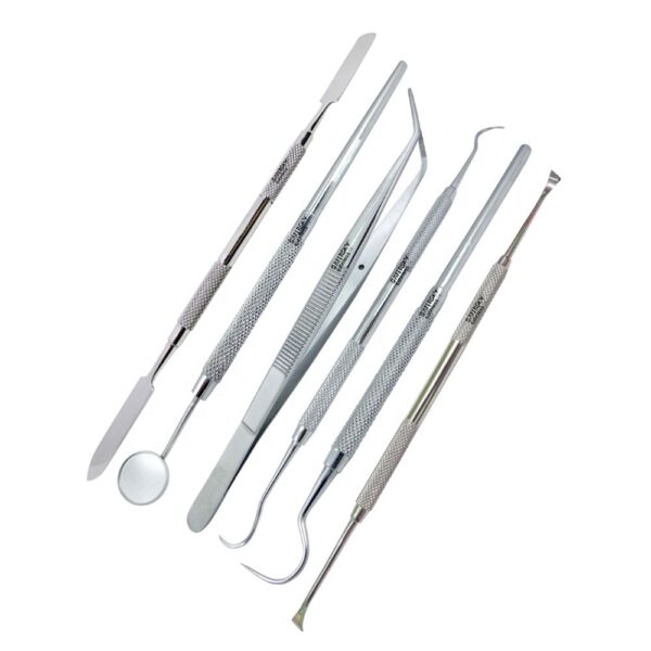 Basic Dental Prophy Kit